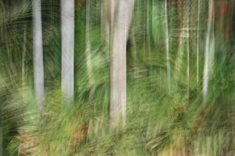 Abstract motion blur, trees trunk &amp; leave, yellow green background Stock Photos