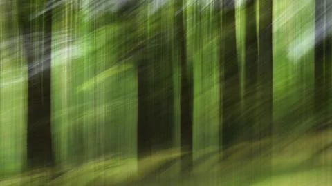 Abstract motion blur, trees trunk &amp; leaves, yellow green background Stock Photos