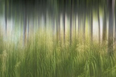 Abstract motion blur, trees trunk &amp; leave, yellow green background Stock Photos