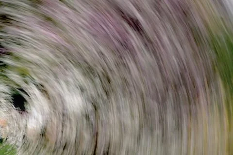 Abstract motion circular background Stock Photos