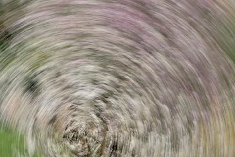 Abstract motion circular background Stock Photos
