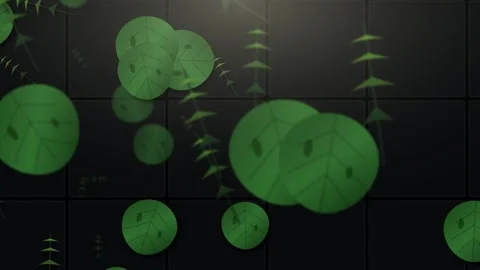 Abstract motion graphic animation of stylized green circular leaves and spi.. Stock Footage 345694160