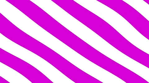 Abstract motion graphic background wavy animation purple and white color 4k Stock Footage 165447837