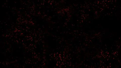 Abstract motion graphics animated background. Red Christmas abstract partic.. Illustrazione stock