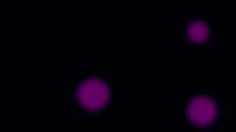 Abstract Motion Graphics Background for Modern Corporate or Tech Presentation Stock Footage 340379088