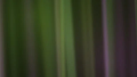Abstract motion graphics with blended green, purple, and black hues Stock Footage 327942720