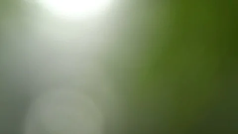 Abstract motion green background, tranquil scene for meditation Stock Footage 93131069