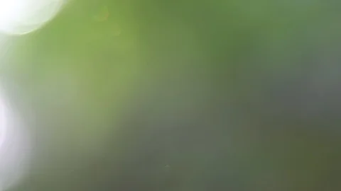 Abstract motion green background, tranquil scene for meditation Stock Footage 93131229