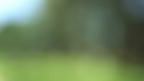 Abstract motion green background, tranquil scene for meditation Stock Footage 93133843