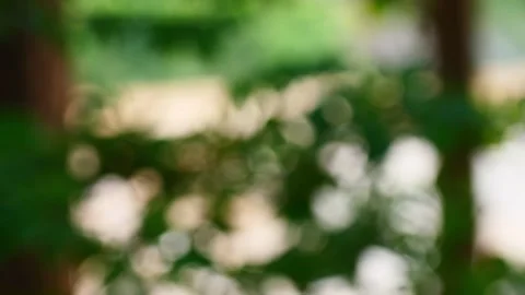 Abstract motion green bokeh or green background. Stock Footage 230059422