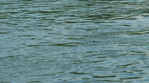 Abstract motion ripples on the surface of the lake 库存影片 319942519
