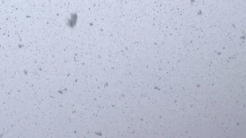 Abstract Motion Of Snowflakes. Snowfall Stock Footage 104197558