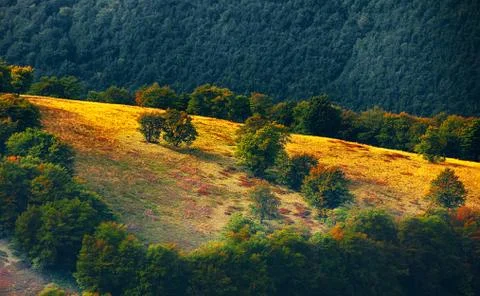 Abstract mountainside with trees Stock Photos