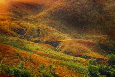 Abstract mountainside with trees Stock Photos