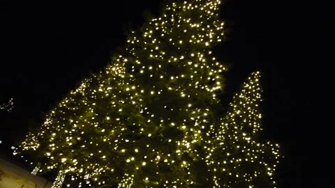 Abstract Move By Decorated Christmas Trees Shining Its Lights Against Dark Skies Stock Footage 162263176
