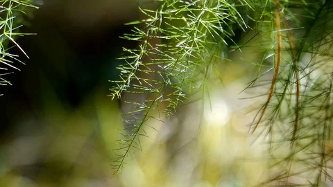 Abstract movement Stock Footage 95881005