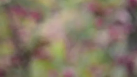 Abstract movement of multicolored spots Video stock 141090340