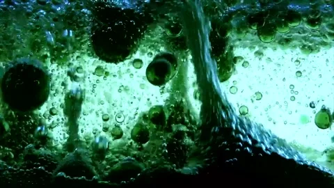 Abstract movement of water and bubbles in vibrant green tones Stock Footage 320390534