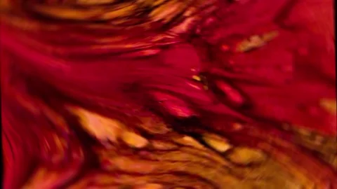 Abstract moving background lines in minimal or dynamic style. Stock Footage 308833104