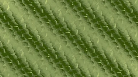 Abstract moving diagonal textured fabric stripes on dark green background Stock Footage 340147995