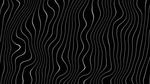 Abstract moving lines animation. White tiny lines waving on black background Stock Footage 305648176
