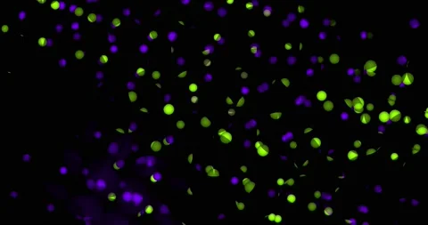 Abstract moving patterns Stock Footage 143239837