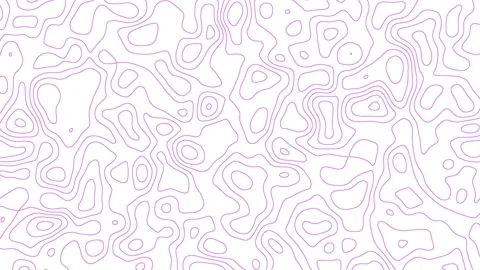 Abstract moving pink lines on a white background. Stock Footage 248262105