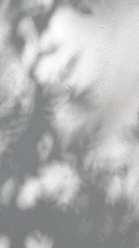 Abstract Moving Shadows on a Wall, Atmospheric Light and Shadow Background. Stock Footage 345326875