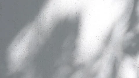 Abstract Moving Shadows on a Wall, Atmospheric Light and Shadow Background. Stock Footage 345326876