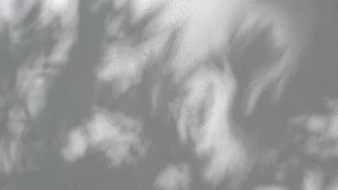 Abstract Moving Shadows on a Wall, Atmospheric Light and Shadow Background. Stock Footage 345326968