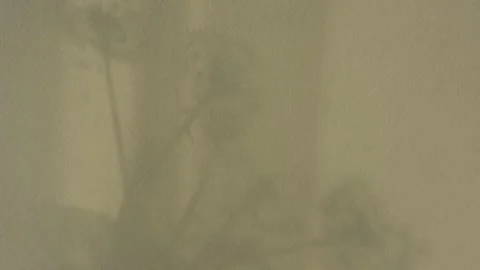 Abstract moving shadows on the wall 스톡 동영상 144476687