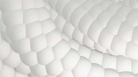 Abstract moving spheres animation Stock Footage 148936520