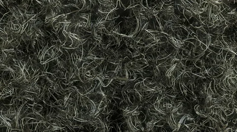 Abstract moving wires/worms  Stock Footage 58570678