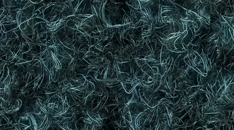 Abstract moving wires/worms  Stock Footage 58573383