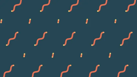 Abstract multi color motion gradient background animation Stock Footage 323183628