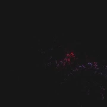 Abstract multi-colored computer generated fractal background on black Stockillustratie