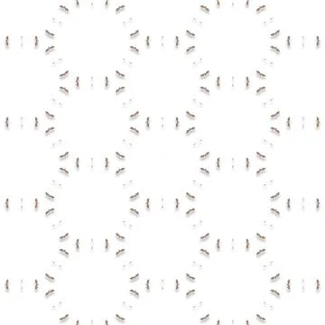 Abstract Multi-Use Gradient Vector Shape Modern Digital Design Modern Digit.. Stockfoto's