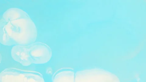 Abstract multicolor fluid diffusion with organic ink swirls and liquid textures Stock Footage 331671574