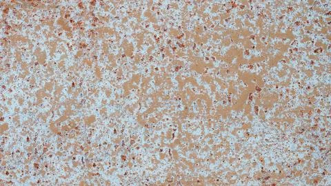 Abstract multicolor wall grain grunge  texture background for web banner temp Stock Photos