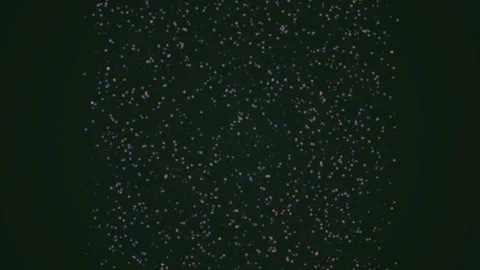 Abstract multicolored dots drift across a dark, dynamic background Stock Footage 326709402