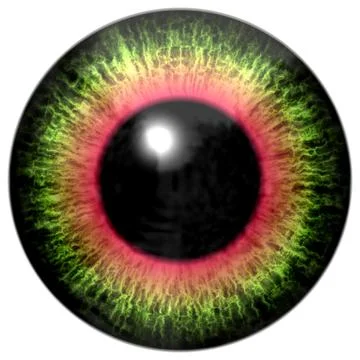 Abstract multicolored eye isolated on white 库存插图