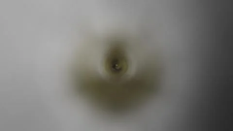 Abstract multicolored gradient background, blurred background 写真素材