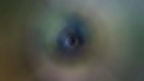 Abstract multicolored gradient background, blurred background Stock Photos