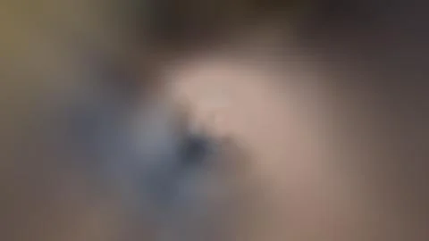 Abstract multicolored gradient background, blurred background Stock Photos