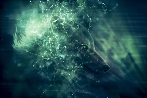 Abstract Multicolored Powerful Wolf Background Stock Illustration