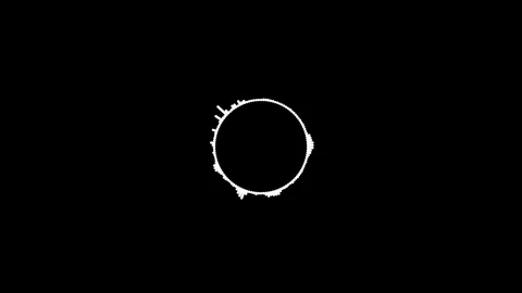 Abstract music waves animation. Animated Futuristic sound wave visualization. Video stock 336080606