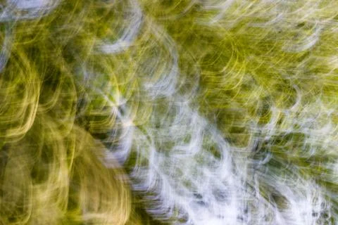 Abstract natural background. Stock Photos