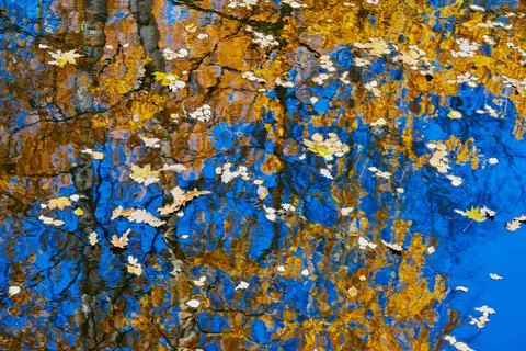 Abstract natural background Stock Photos