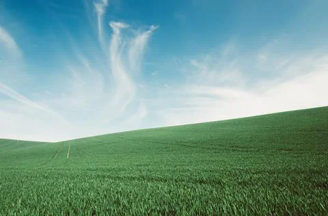 Abstract natural background Stock-Fotos