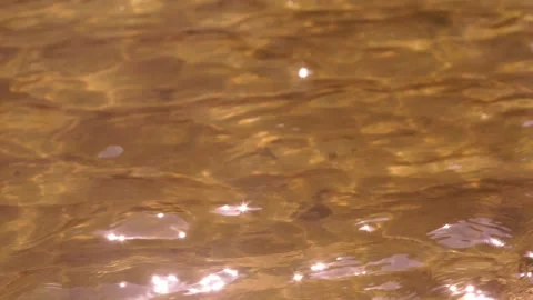 Abstract natural background. Sun glints ... | Stock Video | Pond5